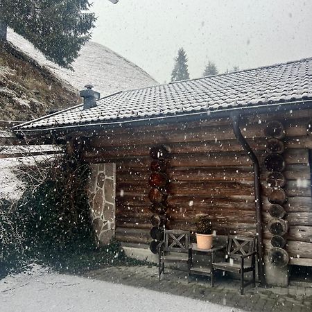 Hochwart Hof Bed & Breakfast Bed and Breakfast Σάαλμπαχ-Χίντεργκλεμ Εξωτερικό φωτογραφία