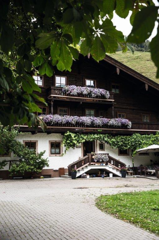 Hochwart Hof Bed & Breakfast Bed and Breakfast Σάαλμπαχ-Χίντεργκλεμ Εξωτερικό φωτογραφία